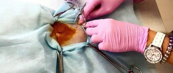 Стерилизация кошки в Краснодаре дешево: ежемесячно в сети наших ветеринарных клиник проводится акция: льготная кастрация. В день льготной кастрации стоимость операции для кошки составляет 1250руб, для кота: 750руб. О дате проведения следующей акции узнайте на страницах наших клиник в социальных сетях:https://vk.com/vikvet93